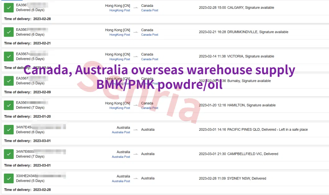 Germany Netherlands Canada Warehouse Supply Pmk/BMK Ethyl Glycidate Powder/Oil CAS 28578-16-7/20320-59-6/1009-14-9/103-63-9/110-64-5 with Lowest Price